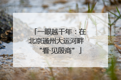 一眼越千年：在北京通州大运河畔“看·见殷商”