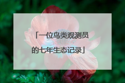 一位鸟类观测员的七年生态记录