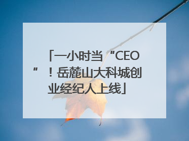 一小时当“CEO”！岳麓山大科城创业经纪人上线