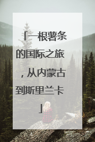 一根薯条的国际之旅，从内蒙古到斯里兰卡