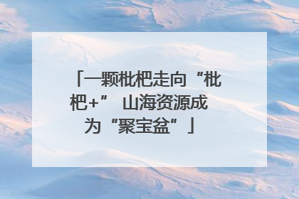 一颗枇杷走向“枇杷+” 山海资源成为“聚宝盆”