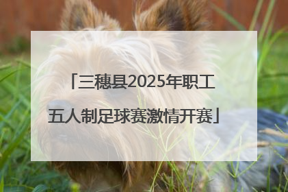 三穗县2025年职工五人制足球赛激情开赛