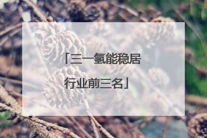 三一氢能稳居行业前三名
