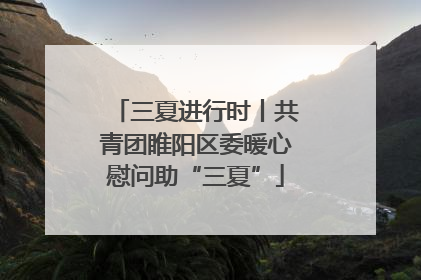 三夏进行时丨共青团睢阳区委暖心慰问助“三夏”