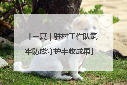 三夏｜驻村工作队筑牢防线守护丰收成果