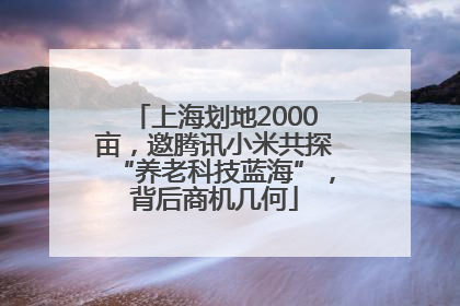 上海划地2000亩，邀腾讯小米共探“养老科技蓝海”，背后商机几何