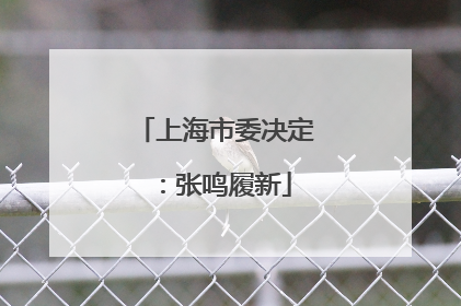 上海市委决定：张鸣履新