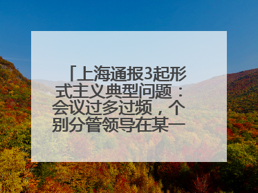 上海通报3起形式主义典型问题：会议过多过频，个别分管领导在某一天同一时段需参加3个会议