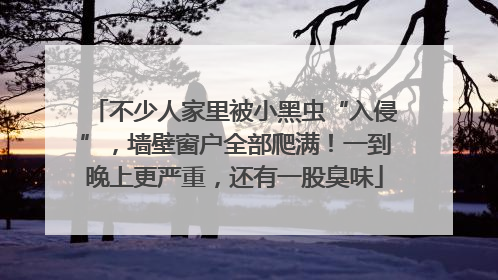 不少人家里被小黑虫“入侵”，墙壁窗户全部爬满！一到晚上更严重，还有一股臭味