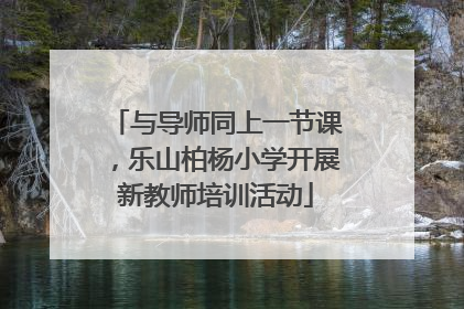 与导师同上一节课，乐山柏杨小学开展新教师培训活动
