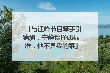 与汪峰节目牵手引猜测，宁静谈择偶标准：他不是我的菜