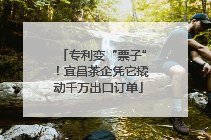 专利变“票子”！宜昌茶企凭它撬动千万出口订单