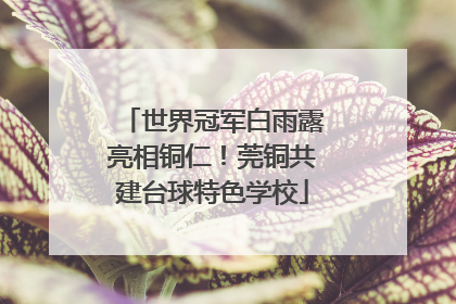 世界冠军白雨露亮相铜仁！莞铜共建台球特色学校