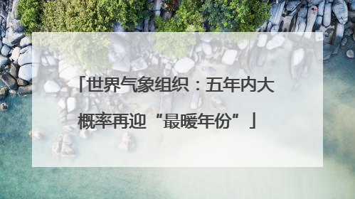 世界气象组织：五年内大概率再迎“最暖年份”