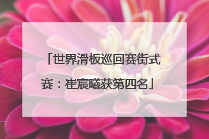 世界滑板巡回赛街式赛：崔宸曦获第四名