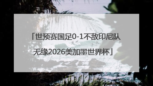 世预赛国足0-1不敌印尼队 无缘2026美加墨世界杯