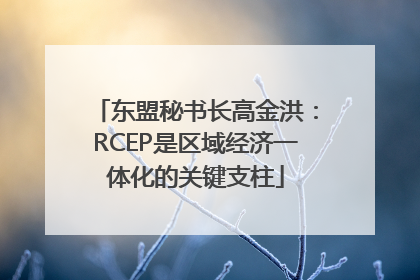 东盟秘书长高金洪：RCEP是区域经济一体化的关键支柱