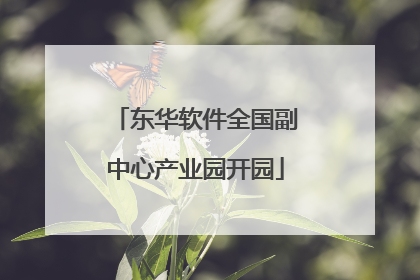 东华软件全国副中心产业园开园