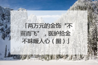 两万元的金饰“不翼而飞”，医护拾金不昧暖人心（图）