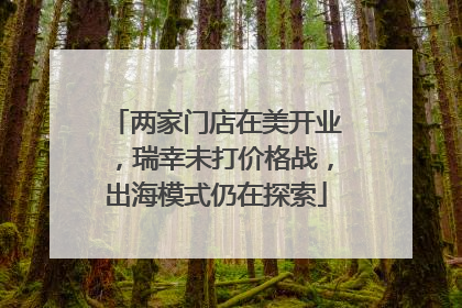 两家门店在美开业，瑞幸未打价格战，出海模式仍在探索