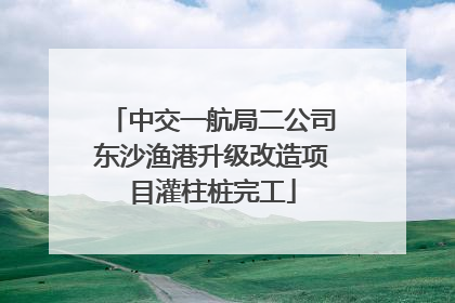 中交一航局二公司东沙渔港升级改造项目灌柱桩完工