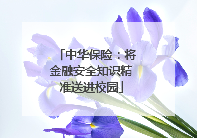 中华保险：将金融安全知识精准送进校园