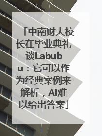中南财大校长在毕业典礼谈Labubu：它可以作为经典案例来解析，AI难以给出答案