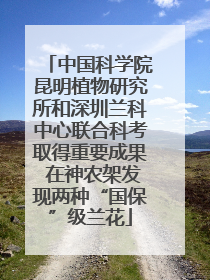 中国科学院昆明植物研究所和深圳兰科中心联合科考取得重要成果 在神农架发现两种“国保”级兰花