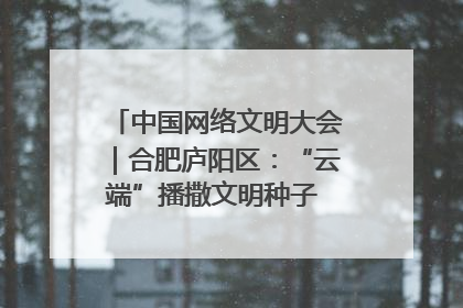 中国网络文明大会｜合肥庐阳区：“云端”播撒文明种子 共建清朗网络空间