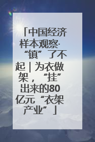 中国经济样本观察·“镇”了不起｜为衣做架，“挂”出来的80亿元“衣架产业”