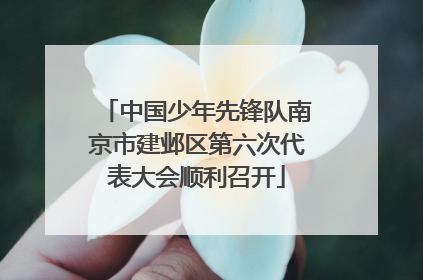中国少年先锋队南京市建邺区第六次代表大会顺利召开