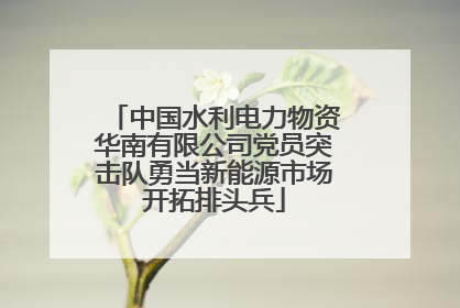 中国水利电力物资华南有限公司党员突击队勇当新能源市场开拓排头兵
