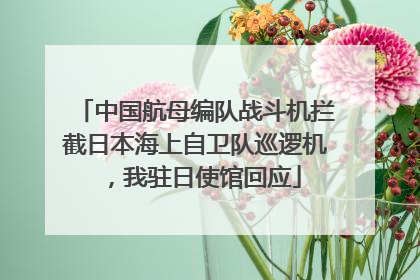 中国航母编队战斗机拦截日本海上自卫队巡逻机，我驻日使馆回应