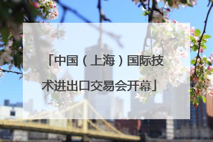 中国（上海）国际技术进出口交易会开幕