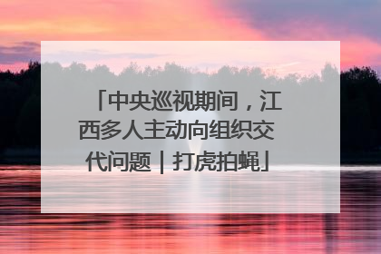 中央巡视期间，江西多人主动向组织交代问题｜打虎拍蝇