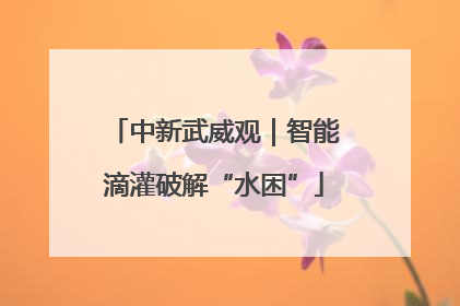 中新武威观｜智能滴灌破解“水困”