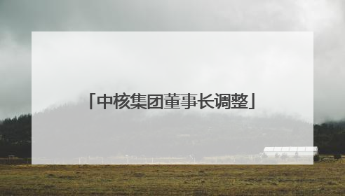 中核集团董事长调整