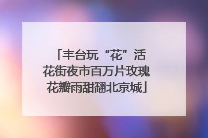 丰台玩“花”活 花街夜市百万片玫瑰花瓣雨甜翻北京城