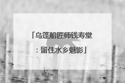 乌篷船匠师钱寿堂：留住水乡魅影