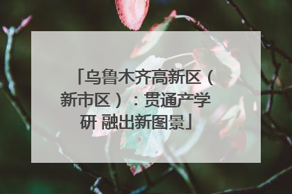 乌鲁木齐高新区（新市区）：贯通产学研 融出新图景