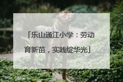 乐山通江小学：劳动育新苗，实践绽华光