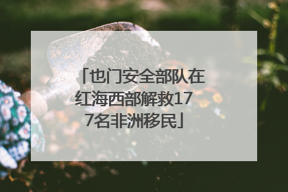 也门安全部队在红海西部解救177名非洲移民
