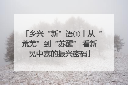 乡兴“新”语①丨从“荒芜”到“苏醒” 看新晃中寨的振兴密码