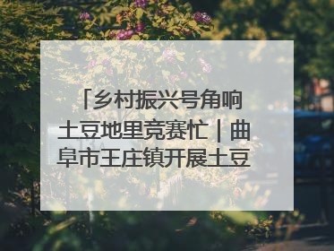乡村振兴号角响 土豆地里竞赛忙｜曲阜市王庄镇开展土豆收获劳动竞赛