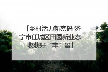乡村活力新密码 济宁市任城区田园新业态收获好“丰”景