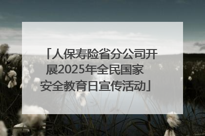 人保寿险省分公司开展2025年全民国家安全教育日宣传活动