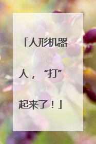 人形机器人，“打”起来了！