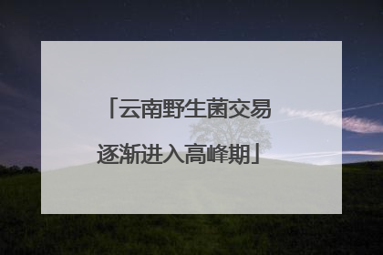 云南野生菌交易逐渐进入高峰期