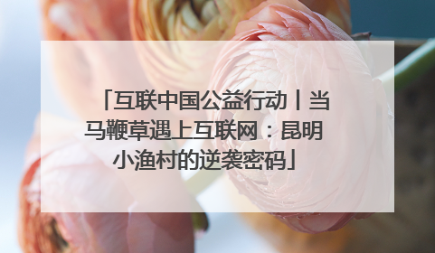 互联中国公益行动丨当马鞭草遇上互联网：昆明小渔村的逆袭密码