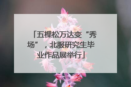 五棵松万达变“秀场”，北服研究生毕业作品展举行